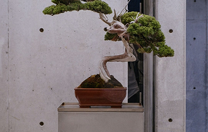 Patience & Discipline